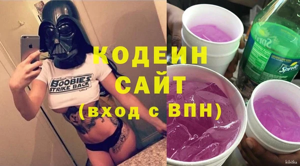 гашик Михайлов