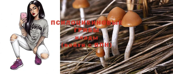 прущие крисы Наволоки