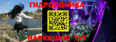 ECSTASY Заволжье