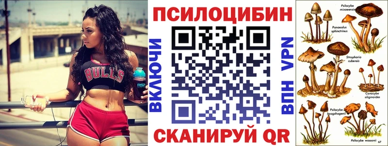Псилоцибиновые грибы GOLDEN TEACHER  закладка  Лиски 