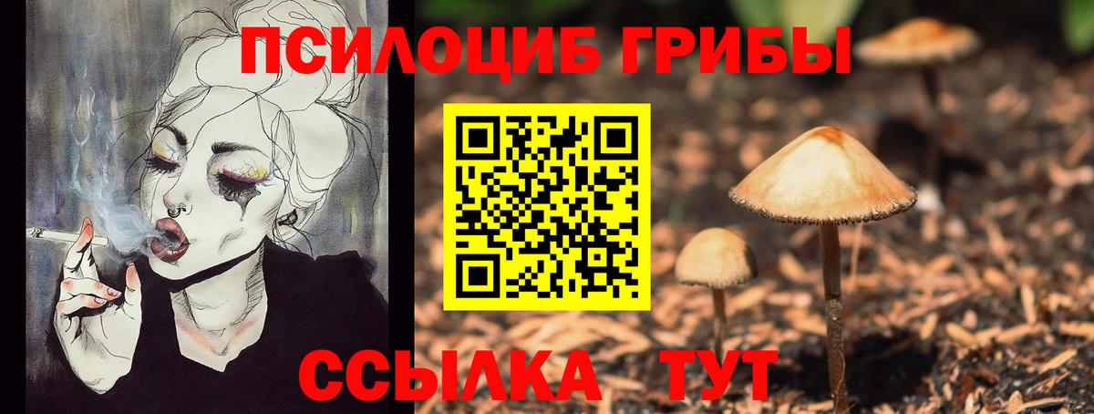 Галлюциногенные грибы Cubensis Лиски