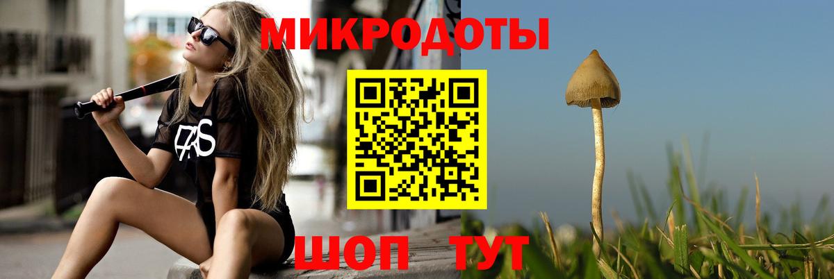 Псилоцибиновые грибы GOLDEN TEACHER Лиски